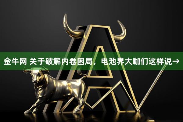 金牛网 关于破解内卷困局，电池界大咖们这样说→