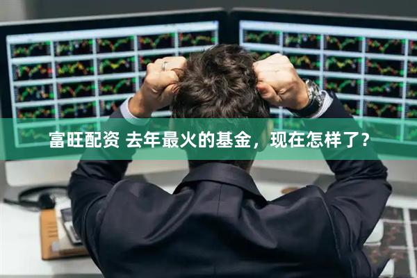 富旺配资 去年最火的基金，现在怎样了？