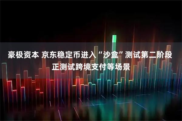 豪极资本 京东稳定币进入“沙盒”测试第二阶段 正测试跨境支付等场景