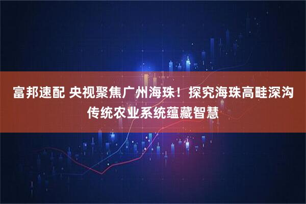 富邦速配 央视聚焦广州海珠！探究海珠高畦深沟传统农业系统蕴藏智慧