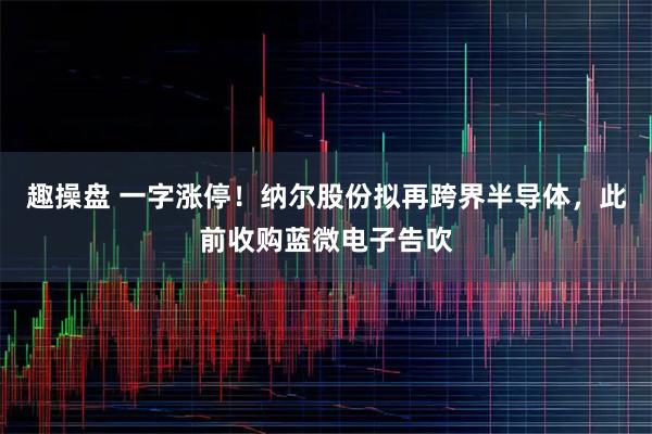 趣操盘 一字涨停！纳尔股份拟再跨界半导体，此前收购蓝微电子告吹