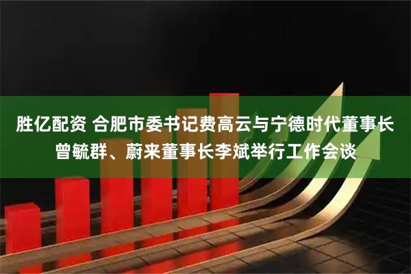胜亿配资 合肥市委书记费高云与宁德时代董事长曾毓群、蔚来董事长李斌举行工作会谈