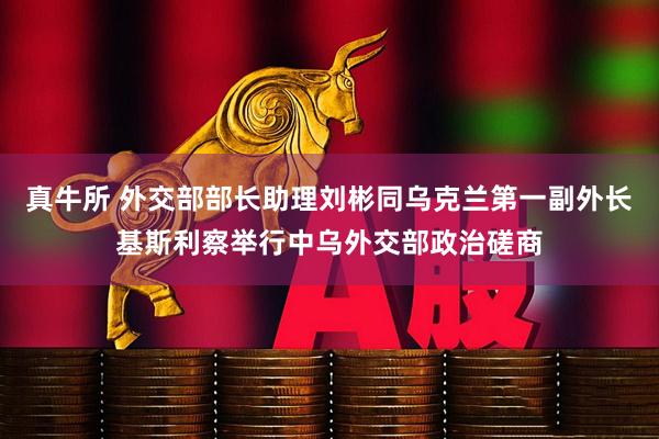 真牛所 外交部部长助理刘彬同乌克兰第一副外长基斯利察举行中乌外交部政治磋商