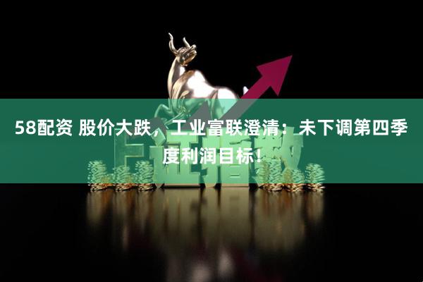 58配资 股价大跌，工业富联澄清：未下调第四季度利润目标！
