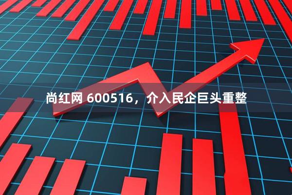 尚红网 600516，介入民企巨头重整