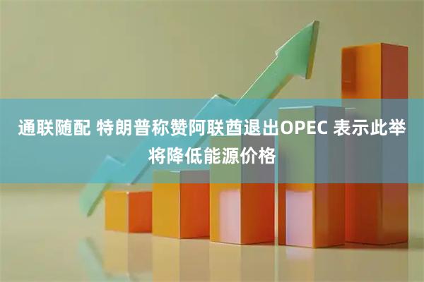 通联随配 特朗普称赞阿联酋退出OPEC 表示此举将降低能源价格